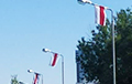 В Минске весь район «ЖК Магистраль» украсили бело-красно-белыми флагами