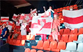 На матче Чемпионата Европы по баскетболу развернули 10 бело-красно-белых флагов