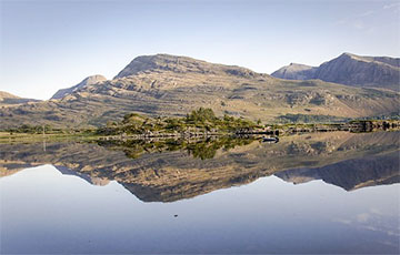 Ученые обнаружили недостающее звено в эволюции животных