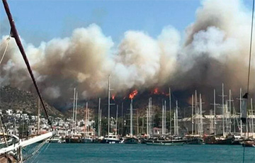 В турецком Бодруме вспыхнули новые пожары: фото и видео