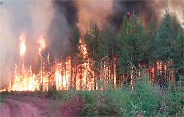 В Якутии из-за дыма от лесных пожаров посреди дня наступила темнота: видео