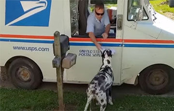 Видеохит: Собака самостоятельно забирает почту для своих хозяев