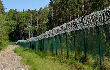 Глава МВД Латвии призвала ввести режим ЧС на границе с Беларусью