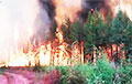 Главный нефтяной регион России охватили лесные пожары