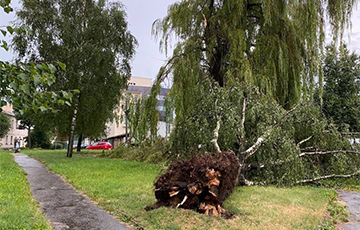 Belarus Caught a Real Storm: Power Outages in the Cities, Wind Blows Down the Roofs