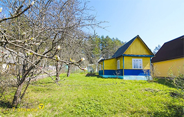 Какие дачи под Минском продают до $18 тысяч