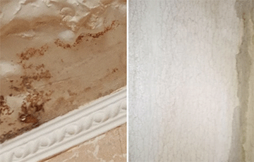 «Восемь месяцев звоню в службы, но проблема не решается»