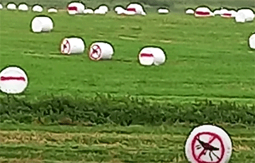 Белорусские партизаны провели масштабную акцию «Стоп, таракан!»