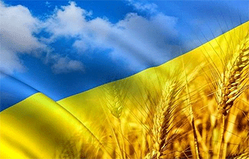Украина собрала рекордный урожай зерновых и масличных