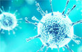 Медики назвали самый «миролюбивый» штамм коронавируса