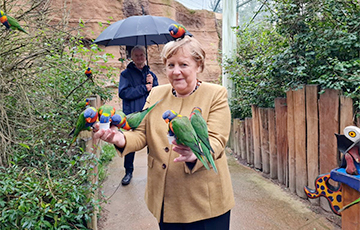 Меркель стала героиней мемов