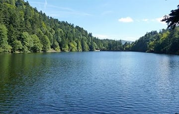 Во Франции будут очищать водоемы и почву от мазута необычным способом