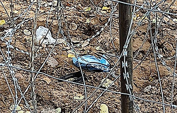 Polish Border Guards Found a Dummy Bomb near the Belarusian Border