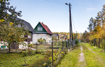 Как выглядят и сколько стоят классические дачи в лесу возле Минска?