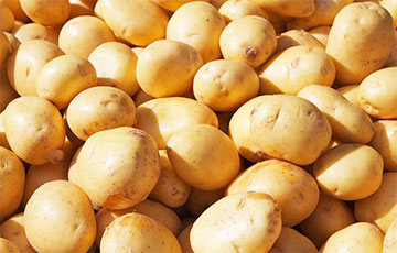 В белорусских магазинах появилась картошка из Египта: ценник кусается