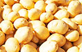 С начала года картошка в Беларуси подорожала на 40%