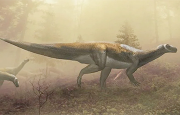 Ученые выяснили, кем был динозавр, следы которого нашли в шахте 70 лет назад