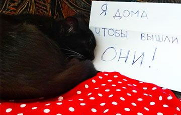 “Solidarity Is Our Weapon!”: Brave Belarusians Stayed at Home