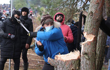 Мигранты рубят деревья возле белорусско-польской границы и жгут костры