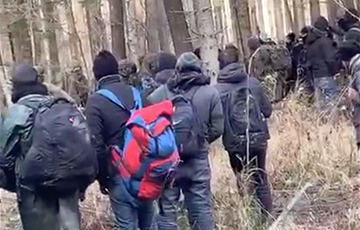 Мигранты вырыли окопы и землянки на границе с Польшей