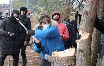 Мигранты едва не сожгли лес под Волковыском