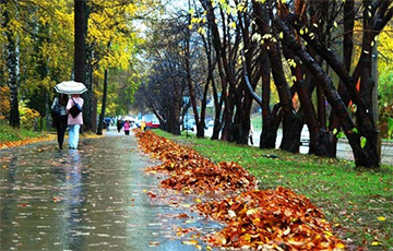 До +6°С ожидается в Беларуси 26 ноября