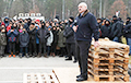 «Голос Америки»: Лукашенко выдвинул мигрантам ультиматум