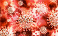 Чем опасен новый штамм коронавируса B.1.1.529 и как быстро он распространится по миру?