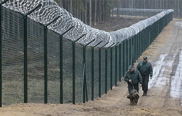 Латвия построила 36 километров забора на границе с Беларусью
