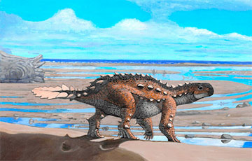 Ученые рассказали об уникальном хвосте нового вида динозавров из Чили