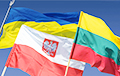 Парламентарыі Літвы, Польшчы і Украіны заклікалі да трыбунала над беларускім рэжымам