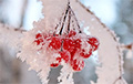 В ночь на 8 декабря в Беларуси будет до -23 градусов