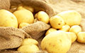 Медики узнали, как картофель связан с гипертонией