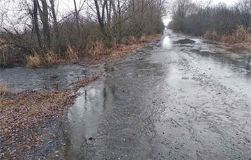 В разгар зимы в Петриковском районе затопило дорогу