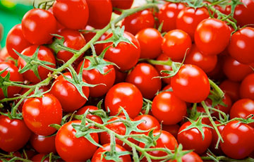 Вместо итальянских черри — томаты из Армении