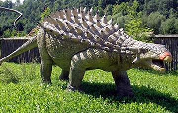 Ученые рассказали об особенностях анкилозавров