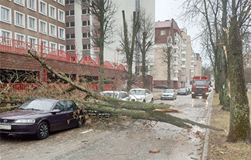 Wind In Minsk Breaks Trees, Blows Away Roofs, Knocks People Down