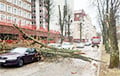 Wind In Minsk Breaks Trees, Blows Away Roofs, Knocks People Down
