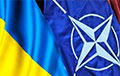 Украина подает заявку на вступление в НАТО по ускоренному порядку