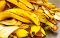 Ученые предложили получать топливо из банановой кожуры