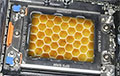 Компьютерные чипы будущего можно производить из меда