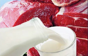 Беларусь сокращает поставки молока и мяса в Россию