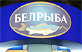 A Well-known Producer Of Fish Products Goes Bankrupt In Belarus