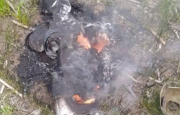 Украинские военные «приземлили» российский «Орлан-10»