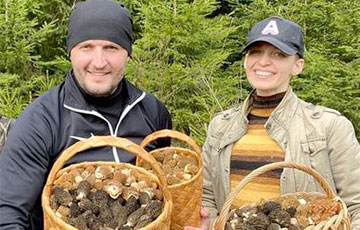 Какие грибы сейчас можно найти в белорусских лесах?