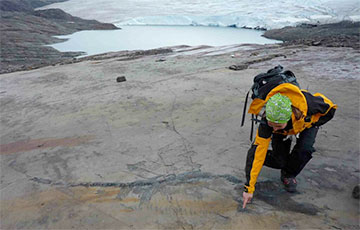 Палеонтологи нашли окаменелые останки самки древнего «рыбоящера» в тающем леднике