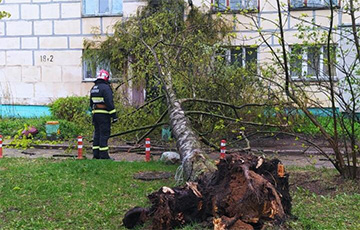В Могилевской области из-за стихии останавливались поезда