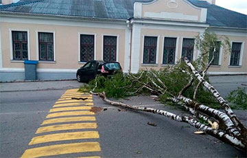 Из-за сильного ветра в Гродненской области падали деревья и пропадало электричество