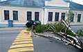 Из-за сильного ветра в Гродненской области падали деревья и пропадало электричество