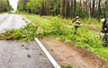 Дорогу между Слонимом и Барановичами завалило упавшими деревьями